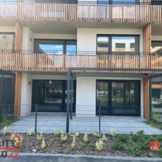 Pronájem bytu 2+kk 55 m² Plzeň Východní Předměstí, Kartónová