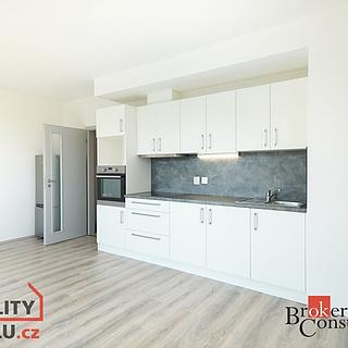 Pronájem bytu 1+kk, garsoniery 37 m&sup2; Heřmanova Huť