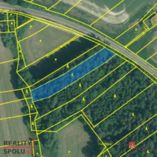 Prodej lesa 2 383 m² Borovany