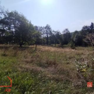 Prodej zahrady 2 433 m² Boleboř Orasín