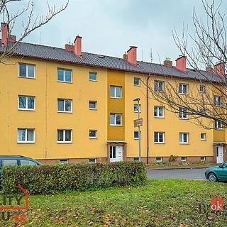 Pronájem bytu 2+1 65 m² Rybitví, Školní