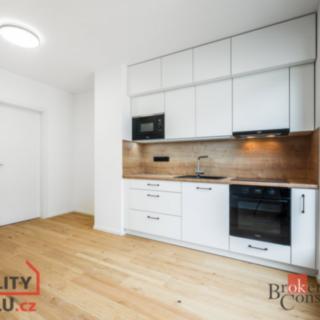 Pronájem bytu 1+kk a garsoniéry 23 m² Brno Zábrdovice, Bratislavská
