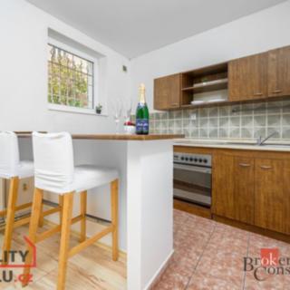 Pronájem bytu 1+kk a garsoniéry 27 m² Liberec I-Staré Město, Ruprechtická