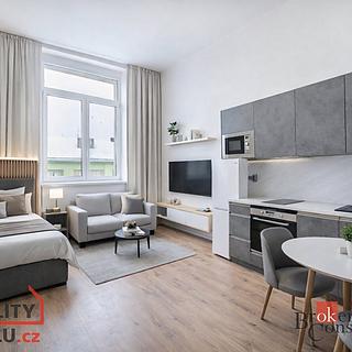 Prodej bytu 1+kk a garsoniéry 23 m² Ostrava Přívoz, Palackého