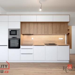 Pronájem bytu 1+kk a garsoniéry 31 m² Opava Kateřinky, Rolnická