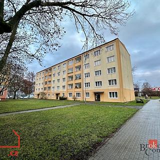 Prodej bytu 2+1 57 m² Ostrov