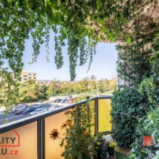 Prodej bytu 2+1 49 m² Třebíč Nové Dvory, I. Olbrachta