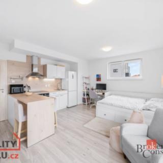 Prodej bytu 1+kk, garsoniery 35 m² Heřmanova Huť