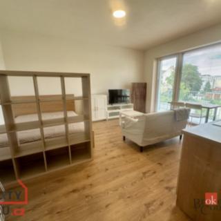 Pronájem bytu 1+kk a garsoniéry 32 m² Brno Trnitá, Křenová