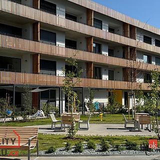 Pronájem bytu 2+kk 52 m² Plzeň Východní Předměstí, Kartónová