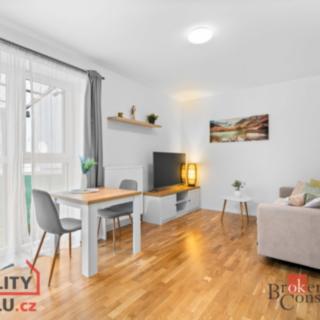 Pronájem bytu 2+kk 42 m² Mladá Boleslav II, Na Radouči