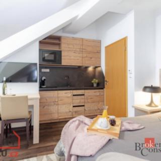 Prodej hotelu, penzionu 25 m² Harrachov
