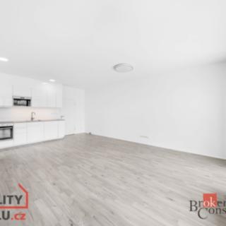 Pronájem bytu 2+kk 66 m² Plzeň