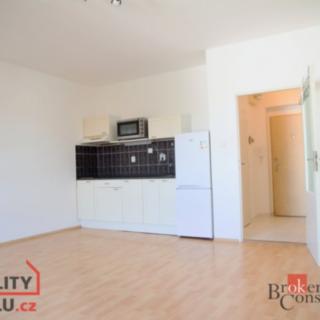 Pronájem bytu 1+kk a garsoniéry 31 m² Hostivice, Zimní