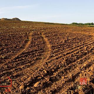 Prodej zemědělské půdy 46 553 m² Bohdašín