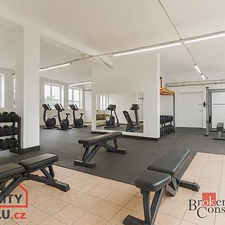 Pronájem obchodu, 330m²