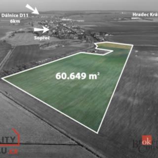 Prodej ostatního pozemku 60 649 m² Sopřeč
