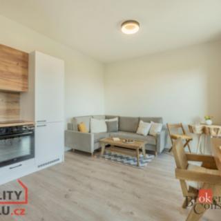 Prodej bytu 1+kk a garsoniéry 28 m² Kutná Hora