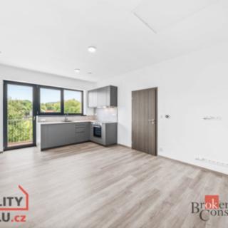 Pronájem bytu 3+kk 58 m² Kamenný Újezd