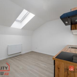 Pronájem bytu 2+kk 47 m² Břasy