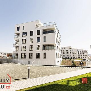 Pronájem bytu 2+kk 56 m² Brno