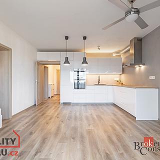 Pronájem bytu 3+kk 73 m² Holubice