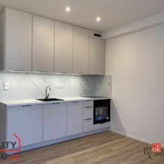 Pronájem bytu 1+kk a garsoniéry 26 m² Opava Kateřinky, Rolnická