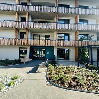 Pronájem bytu 1+kk a garsoniéry 30 m² Plzeň Východní Předměstí, Kartónová