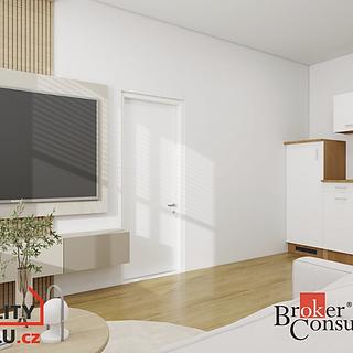 Prodej bytu 2+1 51 m² Ústí nad Labem Předlice, Řeháčkova