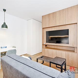 Pronájem bytu 1+kk a garsoniéry 36 m² Praha Nusle, Vrtbova