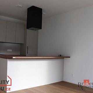 Pronájem bytu 1+kk a garsoniéry 45 m² Plzeň