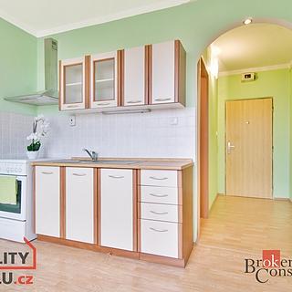 Prodej bytu 1+1 37 m² Písek