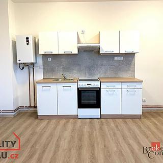 Pronájem bytu 1+kk a garsoniéry 47 m² Mlékojedy
