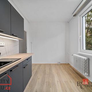 Pronájem bytu 1+1 38 m² Vysoké Mýto
