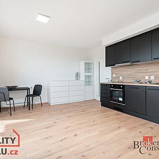 Pronájem bytu 1+kk a garsoniéry 35 m² Heřmanova Huť, U Pondu