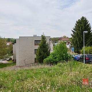 Prodej bytu 3+1 74 m² Jílové u Prahy, Husova