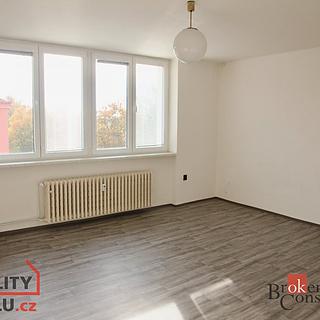 Prodej bytu 3+1 59 m² Litvínov Horní, U Zámeckého parku
