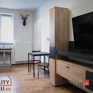 Pronájem bytu 2+1 75 m² Plzeň