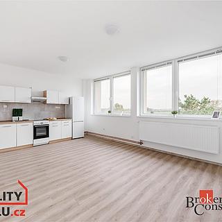 Pronájem bytu 1+kk a garsoniéry 47 m² Mlékojedy