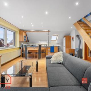 Prodej rodinného domu 312 m² Žamberk