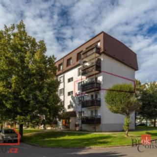 Pronájem bytu 2+1 41 m² Vysoké Mýto Litomyšlské Předměstí, náměstí Naděje