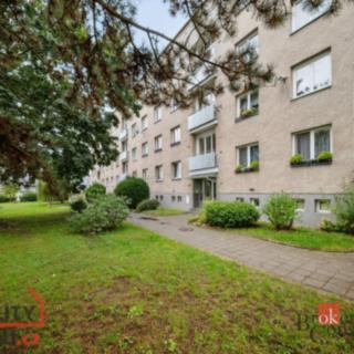 Prodej bytu 3+1 65 m² Hradec Králové Nový, Písečná