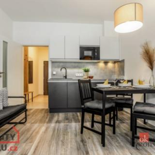 Prodej bytu 1+kk a garsoniéry 40 m² Lipno nad Vltavou