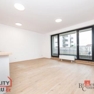 Pronájem bytu 1+kk a garsoniéry 40 m² Plzeň Jižní Předměstí, Železná