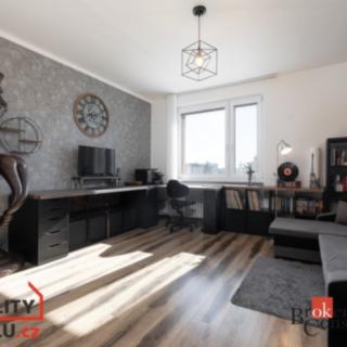 Pronájem bytu 1+1 39 m² Opava Kateřinky, Kollárova