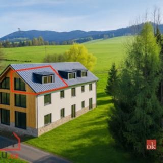 Prodej bytu 1+kk a garsoniéry 46 m² Dolní Morava Velká Morava