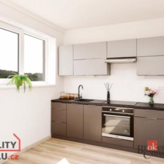 Prodej bytu 3+kk 66 m² Nová Ves pod Pleší