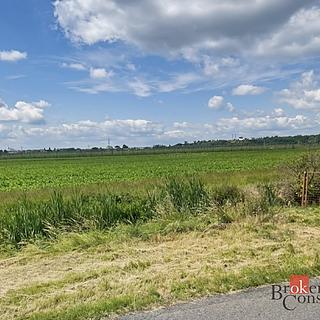 Prodej stavební parcely 4536 m&sup2; Staňkovice