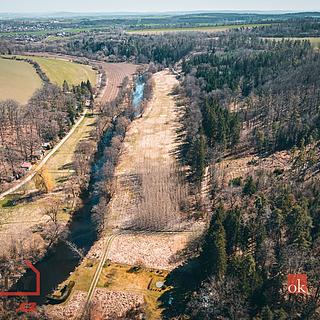 Prodej lesa 4109 m² Plešnice