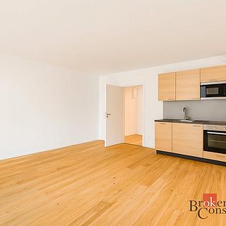 Pronájem bytu 1+kk a garsoniéry 38 m² Brno Zábrdovice, Bratislavská